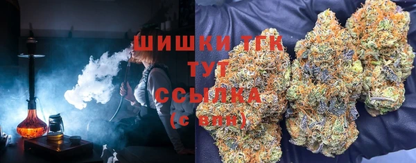 прущие грибы Арсеньев